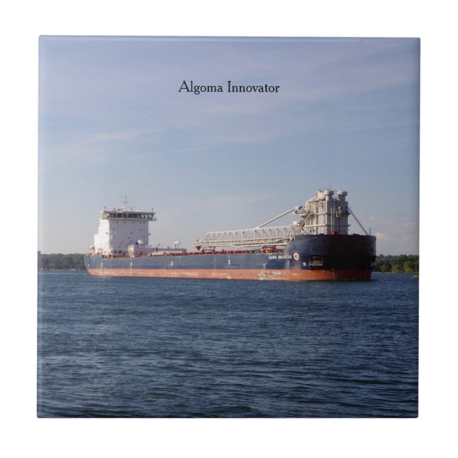 Baldosa Algoma Innovator (Frente)
