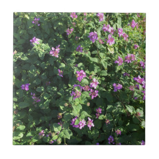 Baldosa cerámica (4,25" x 4,25")