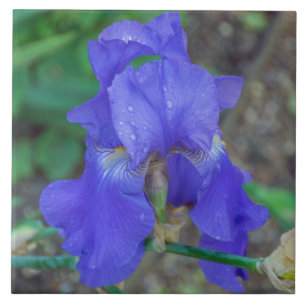 Baldosa cerámica azul iris