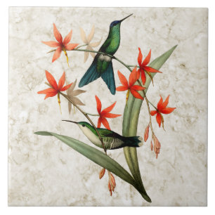 Baldosa cerámica capsulada violeta del colibrí d