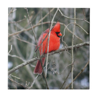 Baldosa cerámica cardinal roja real