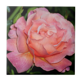 Baldosa cerámica color de rosa inglesa