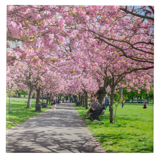 Baldosa cerámica con flores de cerezo (Frente)