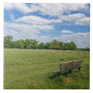 Baldosa cerámica con vistas al banco de estacionam