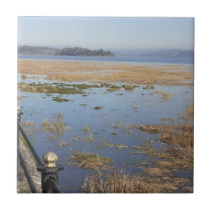 Baldosa cerámica de alta marea de Morecambe Bay