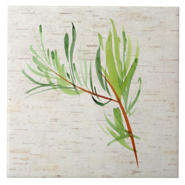 Baldosa cerámica de Bambú y Birch (Frente)