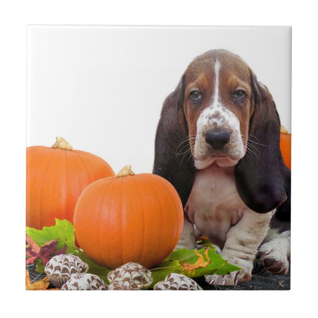 Baldosa cerámica de Halloween Basset Hound (Frente)