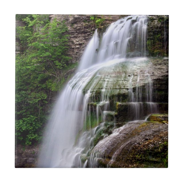 Baldosa cerámica de la cascada (Frente)