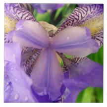 baldosa cerámica de la flor púrpura abstracta del