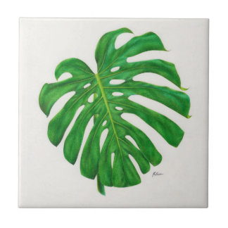 Baldosa cerámica de la hoja tropical de Monstera