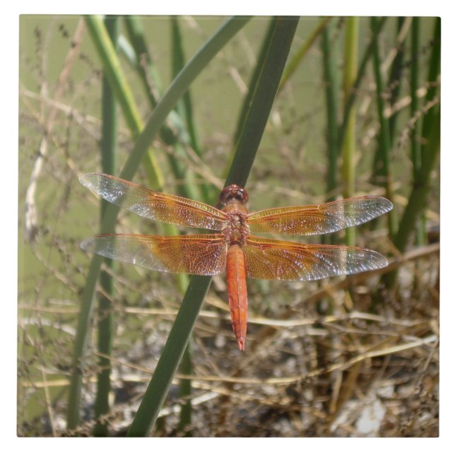 Baldosa cerámica de la libélula (imagen grande) (Frente)
