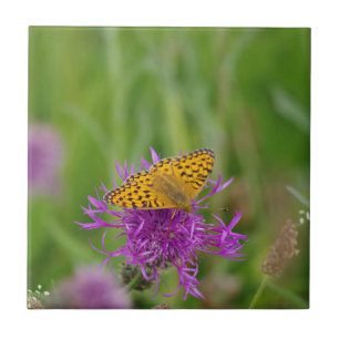 Baldosa cerámica de la mariposa del Fritillary
