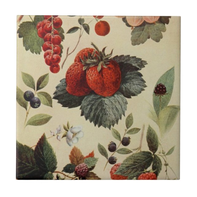 Baldosa cerámica de las BAYAS de las BAYAS (Frente)