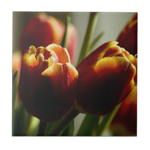 Baldosa cerámica de los tulipanes de las pastillas