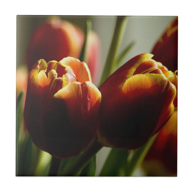 Baldosa cerámica de los tulipanes de las pastillas (Frente)