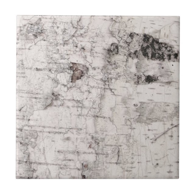 Baldosa cerámica de patrón de corteza de aves (Frente)