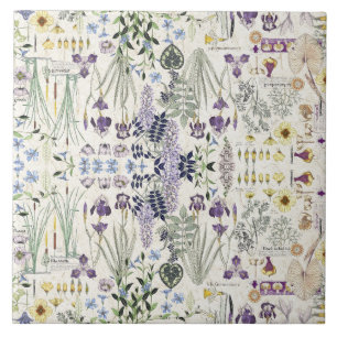 Baldosa cerámica del arte de las flores botánica