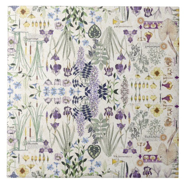 Baldosa cerámica del arte de las flores botánicas (Frente)