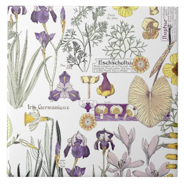 Baldosa cerámica del arte de Nouveau de la flor (Frente)