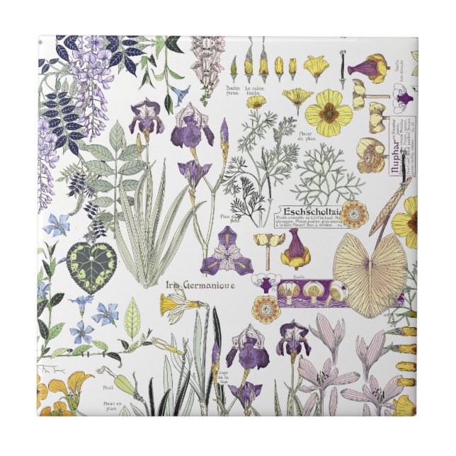 Baldosa cerámica del arte de Nouveau de la flor (Frente)