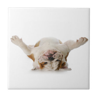 Baldosa cerámica del bulldog inglés
