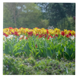 Baldosa cerámica del campo del tulipán