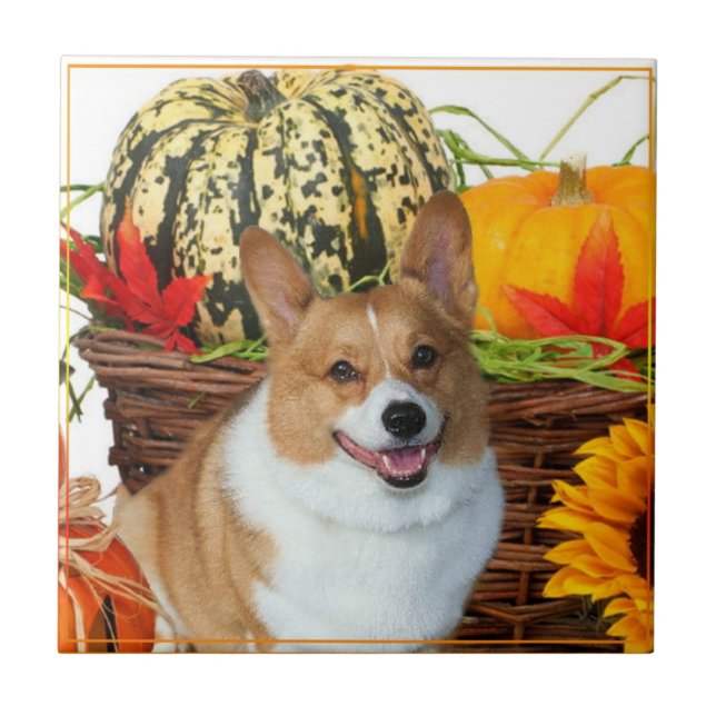 Baldosa cerámica del Corgi de Halloween Galés (Frente)