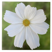 Baldosa cerámica del cosmos