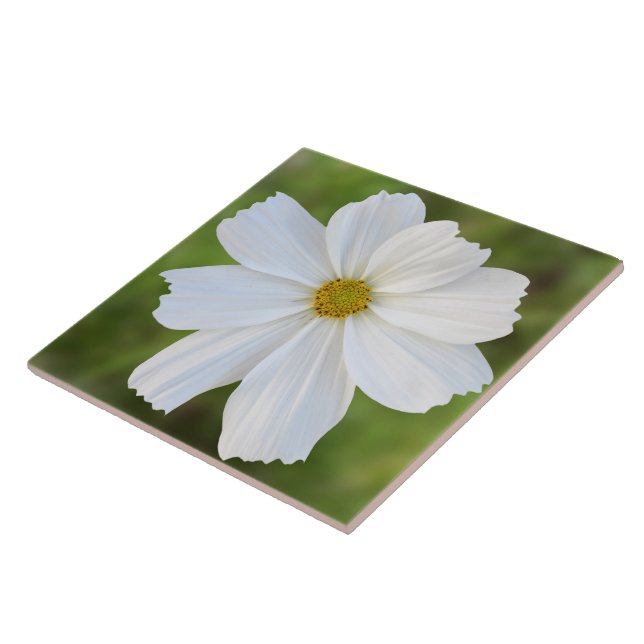 Baldosa cerámica del cosmos (Lado)