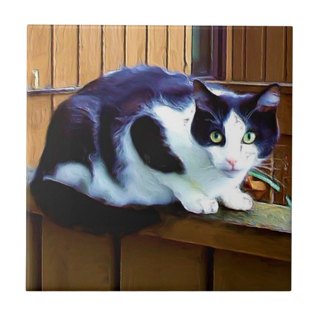 Baldosa cerámica del gato blanco y negro (Frente)