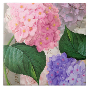 Baldosa cerámica del Hydrangea púrpura rosado de