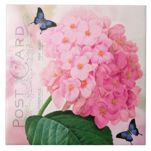Baldosa cerámica del Hydrangea rosado francés de