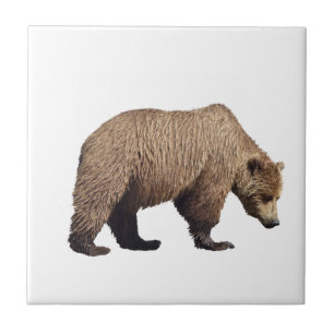 Baldosa cerámica del oso grizzly