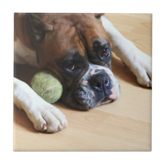 baldosa cerámica del perro del boxeador