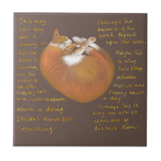 Baldosa cerámica que muestra al gato dormido