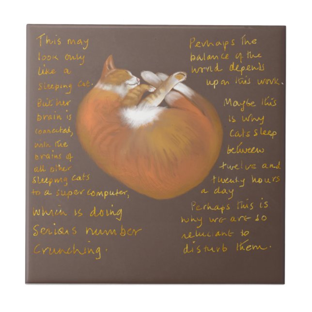 Baldosa cerámica que muestra al gato dormido (Frente)