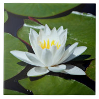 Baldosa cerámica Trivet del Agua-lirio de Lotus