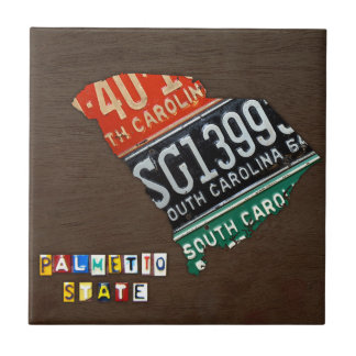 Baldosa cerámica V3 del mapa de la placa de