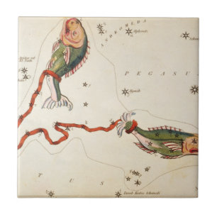Baldosa cerámica "Zodia Rótulo: Pisces"