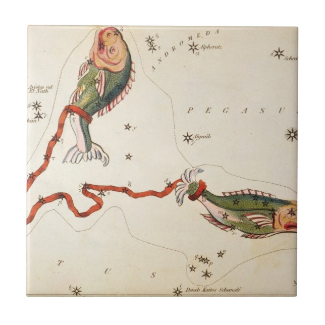Baldosa cerámica "Zodia Rótulo: Pisces" (Frente)