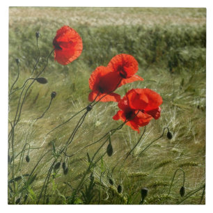 Baldosa con Klatschmohn 02