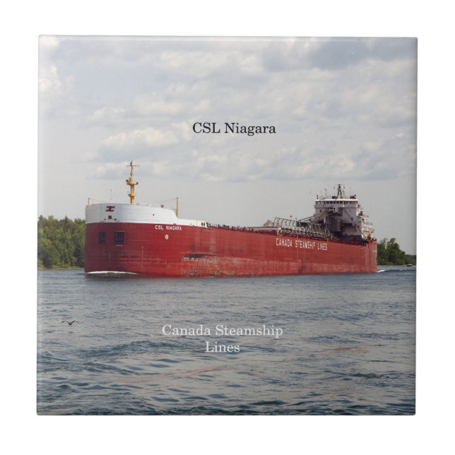 baldosa CSL Niagara (Frente)