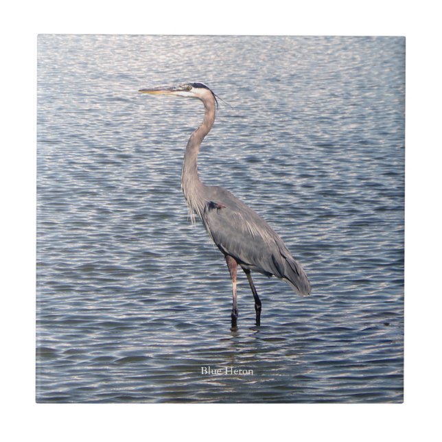 Baldosa de agua Blue Heron (Frente)