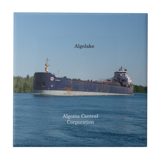 Baldosa de Algolake (Frente)