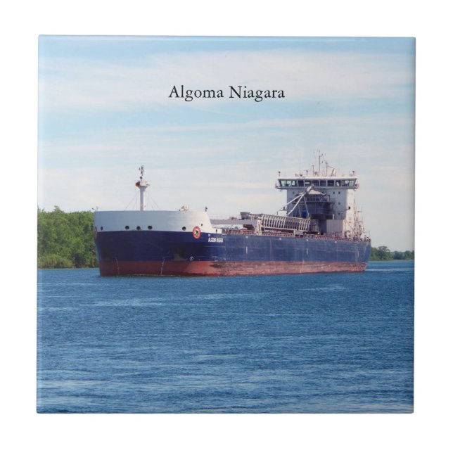 Baldosa de Algoma Niagara (Frente)