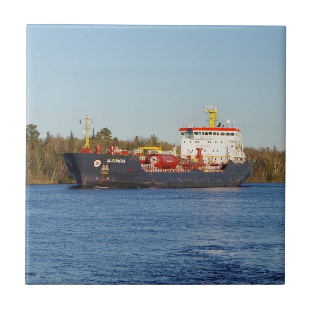 Baldosa de Algonova (Frente)