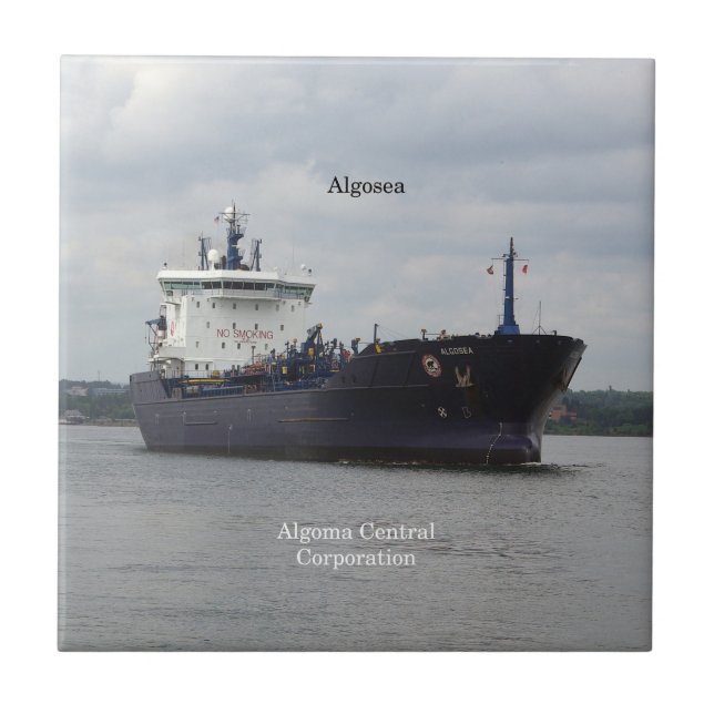 Baldosa de Algosea (Frente)