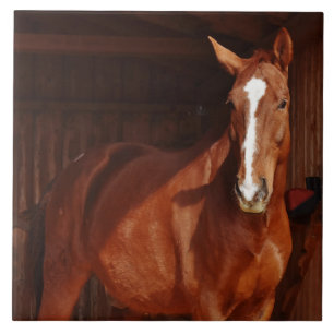 baldosa de caballo de granero