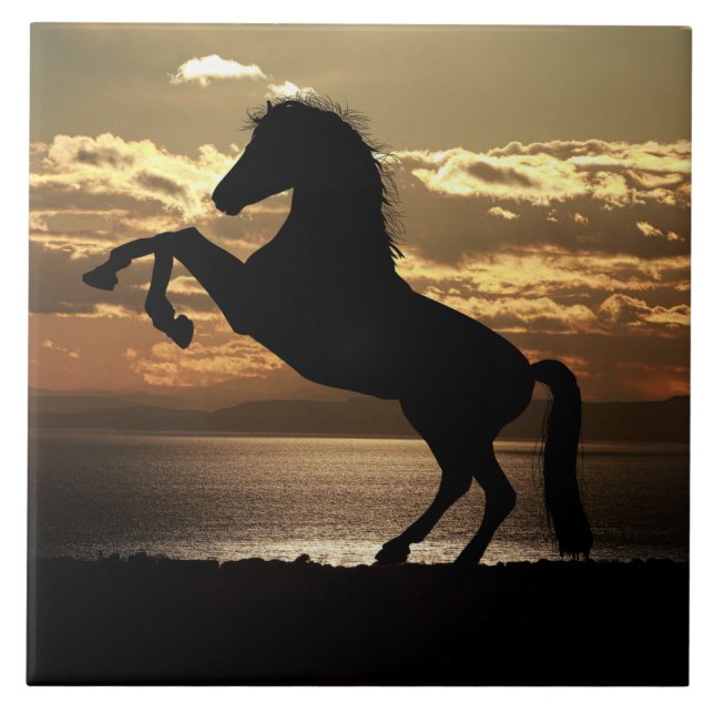 baldosa de caballo de puesta de sol (Frente)