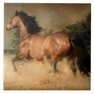 baldosa de caballo salvaje
